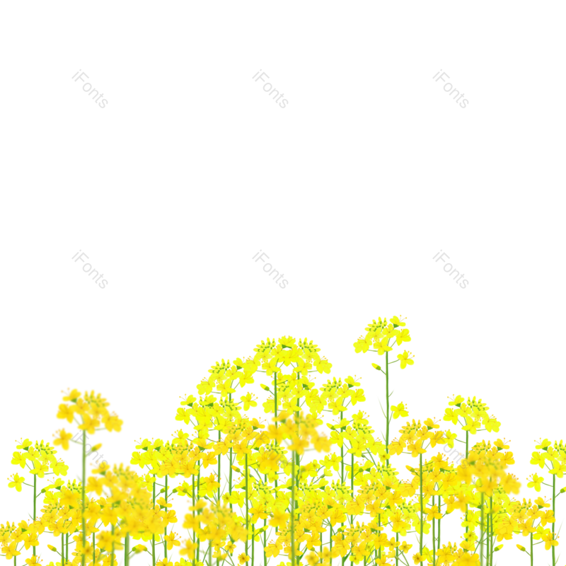 元素图片,素材元素,花朵PNG,鲜花免抠素材